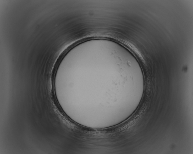 X0000095680980200801151122