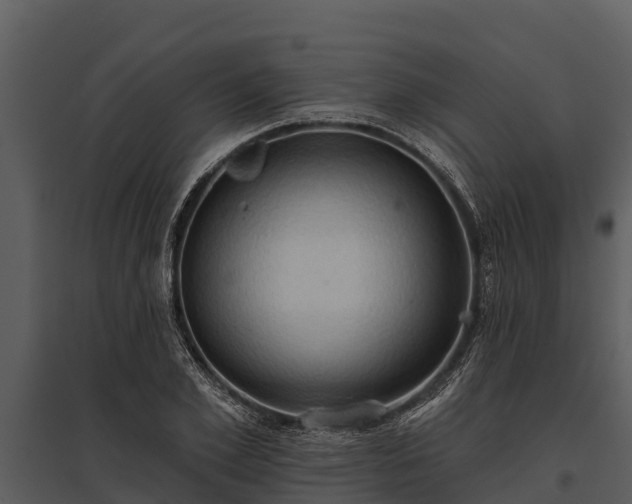 X0000095680981200801151122