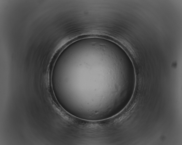 X0000095680982200801151122