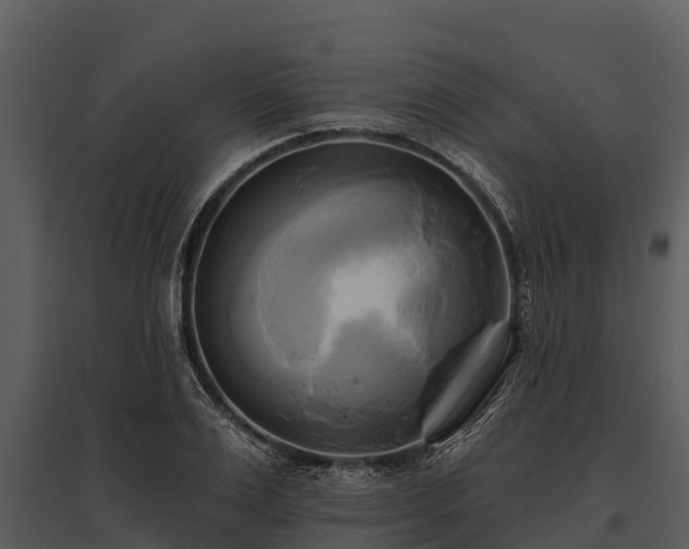 X0000095680983200801151122