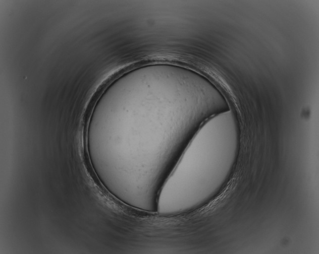 X0000095680984200801151122