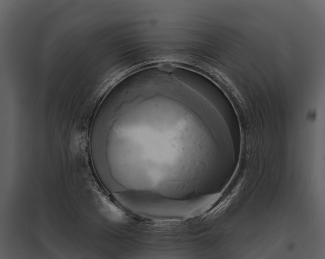 X0000095680985200801151122