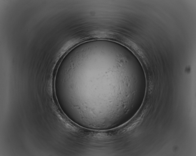 X0000095680986200801151122