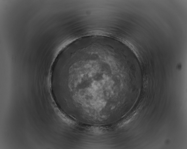 X0000095680987200801151122