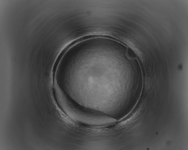 X0000095680988200801151122
