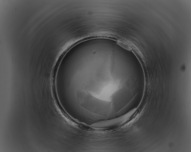 X0000095680989200801151122