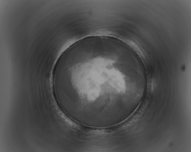X0000095680990200801151122
