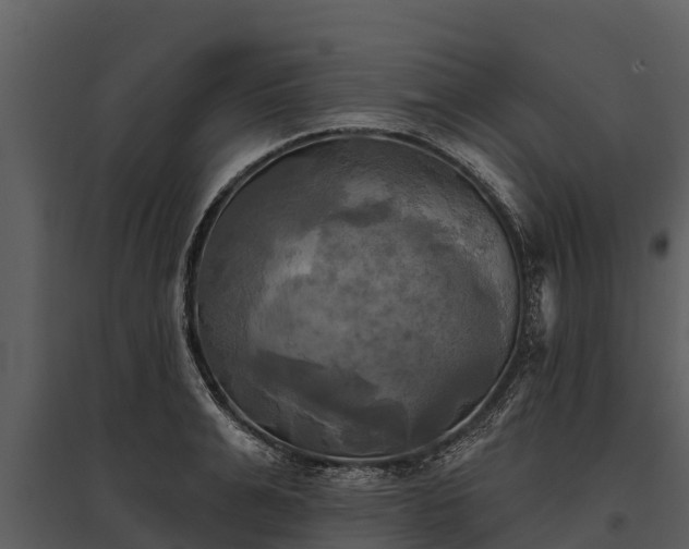 X0000095680991200801151122