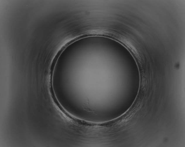 X0000095680992200801151122