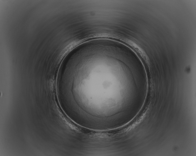 X0000095680993200801151122