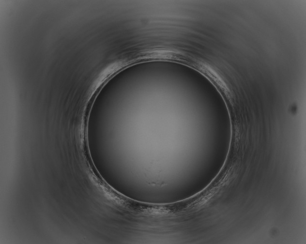 X0000095680994200801151122
