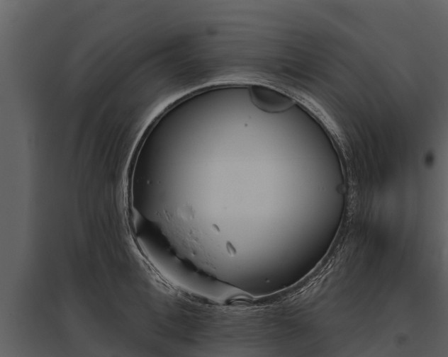 X0000095680996200801151122
