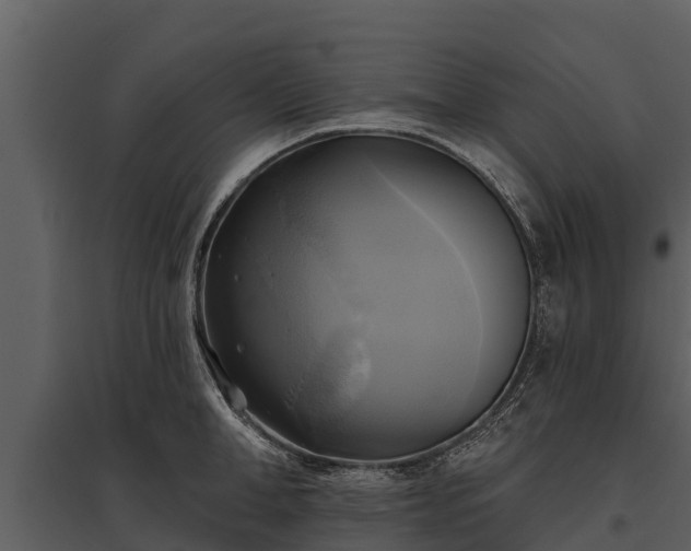 X0000095680998200801151122
