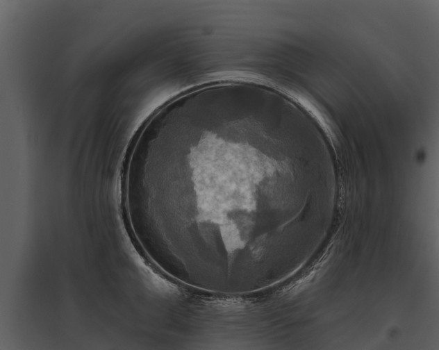 X0000095680999200801151121