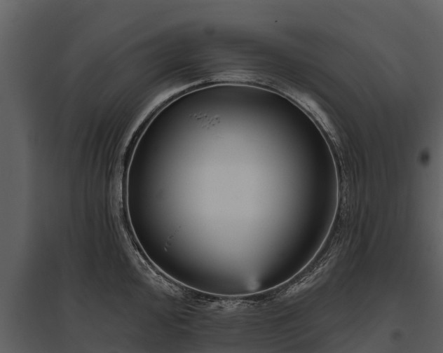 X0000095681000200801151121