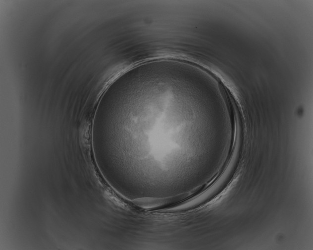 X0000095681001200801151121