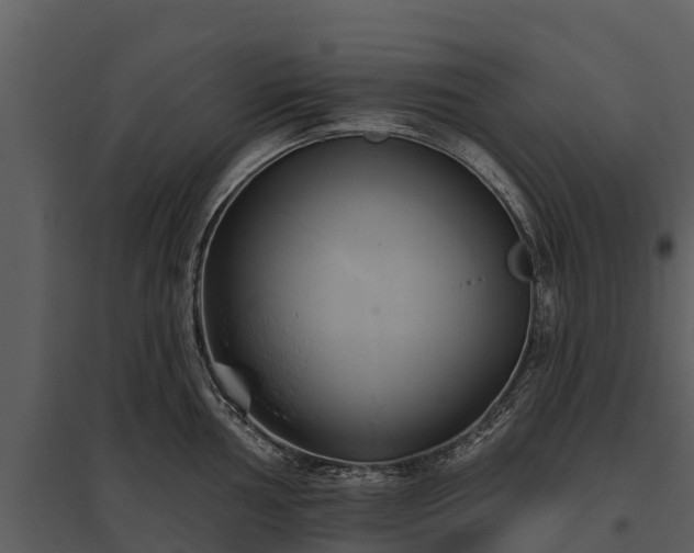 X0000095681002200801151121