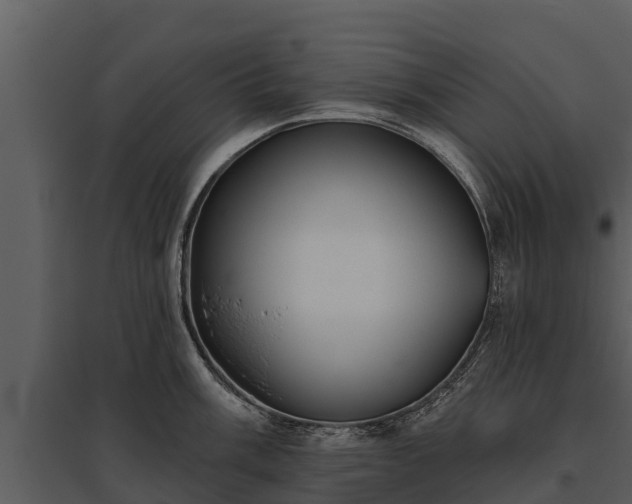 X0000095681003200801151121
