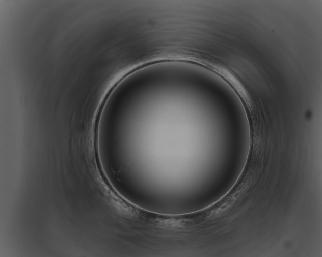 X0000095681004200801151121