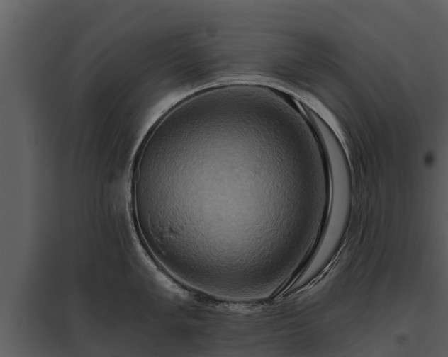 X0000095681005200801151121