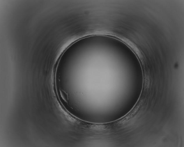 X0000095681006200801151121