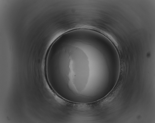 X0000095681007200801151121