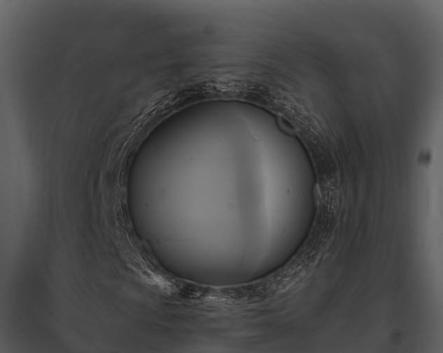 X0000095681009200801151121