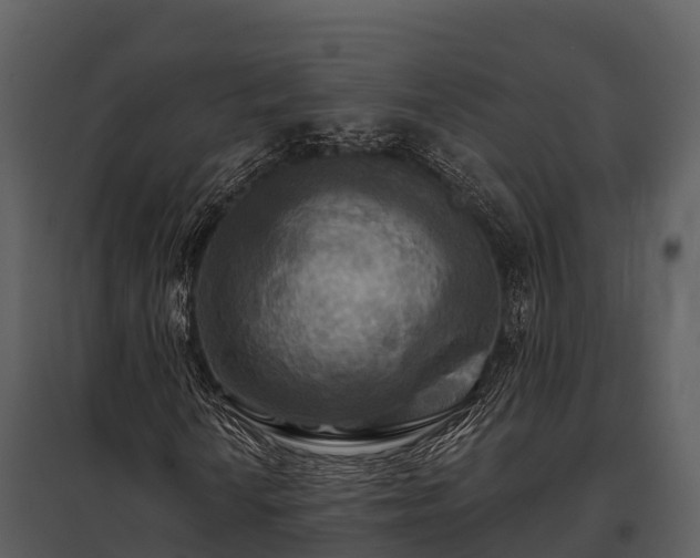 X0000095681010200801151121