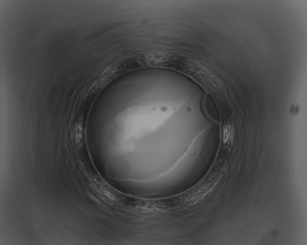 X0000095681011200801151121