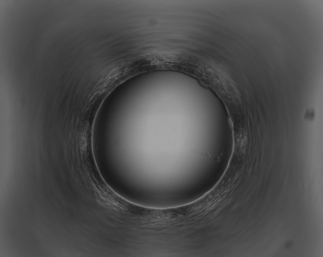 X0000095681012200801151121