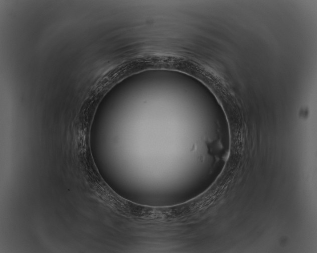 X0000095681013200801151121