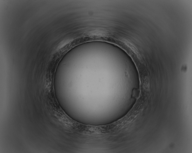X0000095681015200801151121