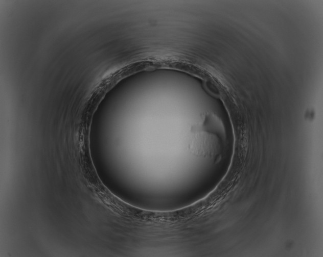 X0000095681016200801151121