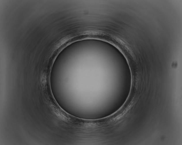 X0000095681017200801151121