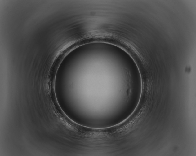 X0000095681018200801151121