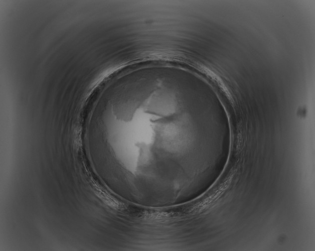 X0000095681019200801151121
