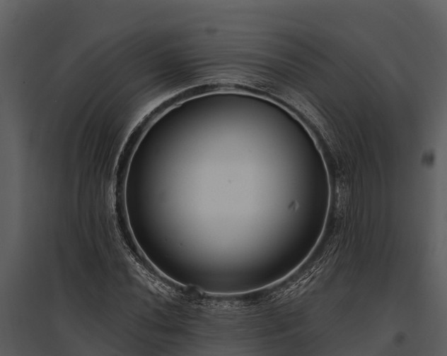 X0000095681020200801151121