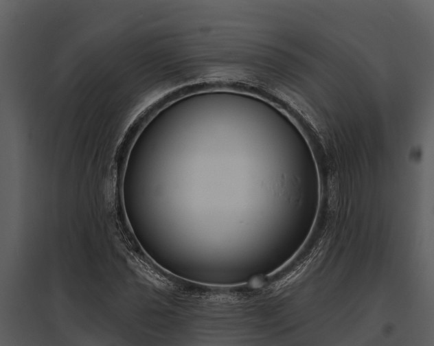 X0000095681021200801151121