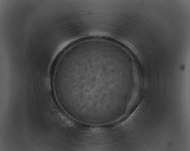 X0000095681022200801151121