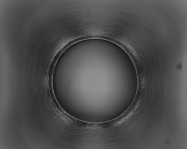 X0000095681023200801151121