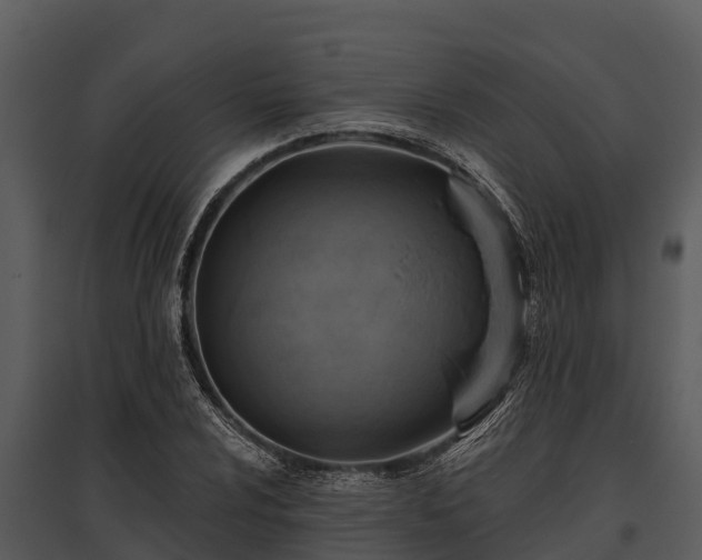X0000095681024200801151121