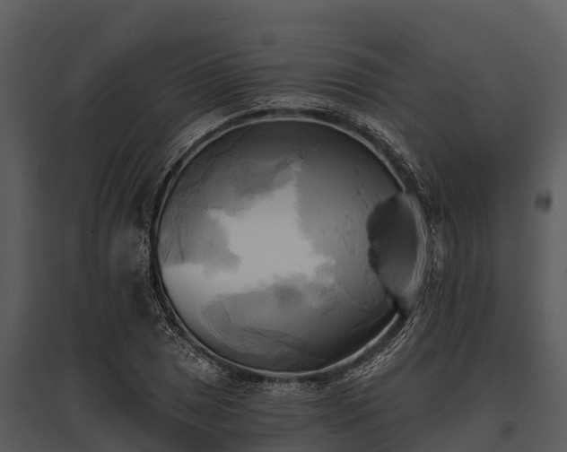 X0000095681025200801151121