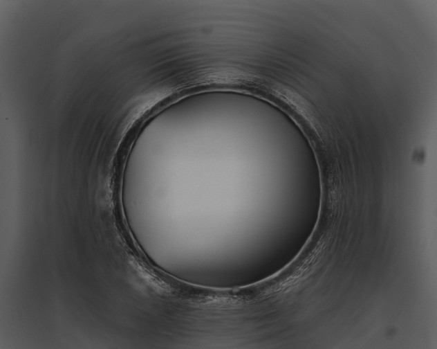 X0000095681026200801151121