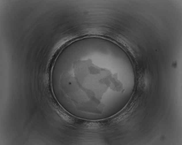 X0000095681027200801151121