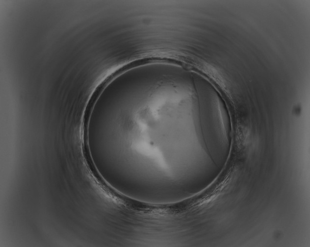 X0000095681028200801151121