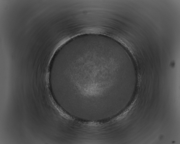 X0000095681029200801151121