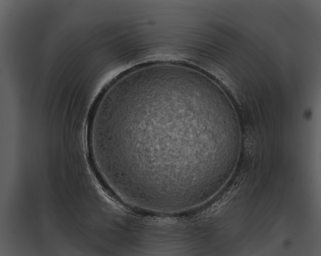 X0000095681030200801151121