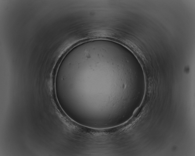 X0000095681031200801151121