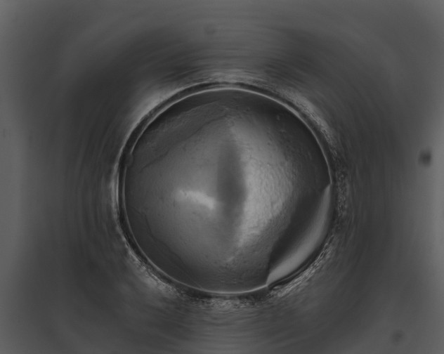 X0000095681032200801151121