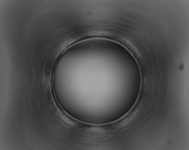 X0000095681033200801151121